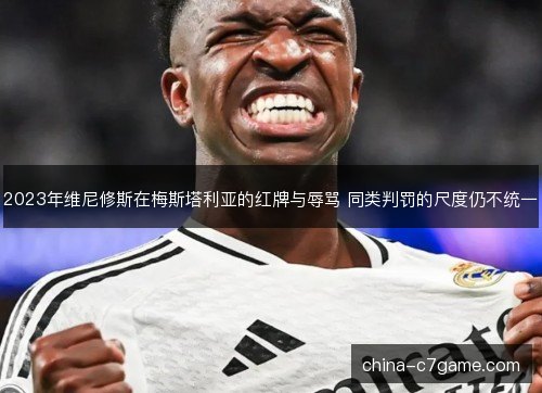 2023年维尼修斯在梅斯塔利亚的红牌与辱骂 同类判罚的尺度仍不统一